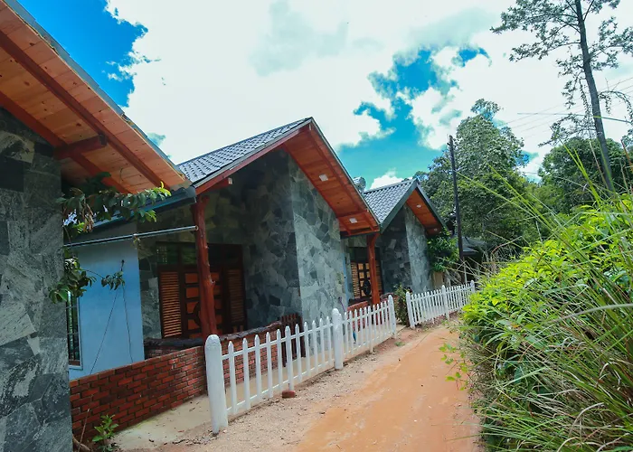 Villa with pool Tina Nature