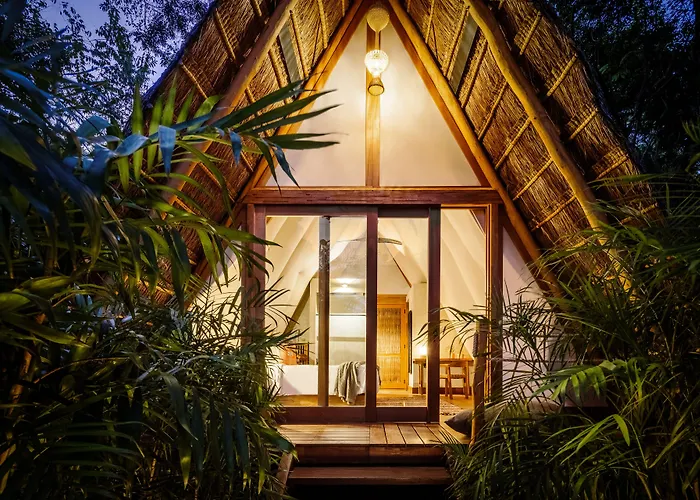 Our Habitas - Adults Only