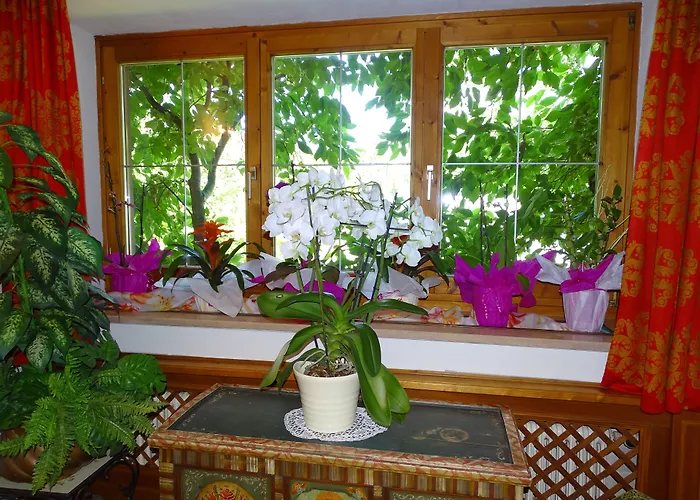 Pension Rainhof Kitzbühel