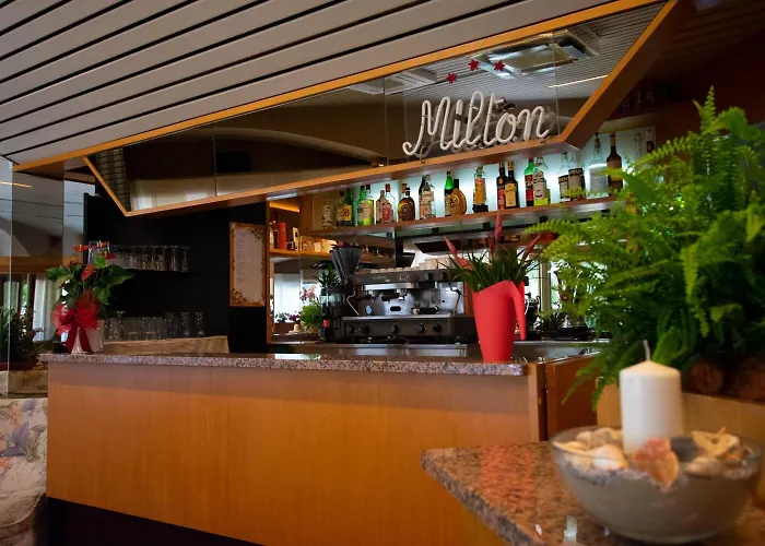 Hotel adatto agli animali: Hotel Milton