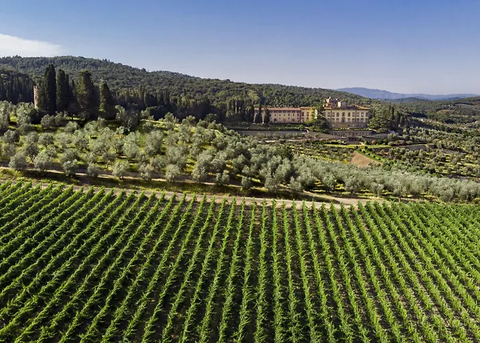 Hotel con piscina: Torre A Cona Wine Estate