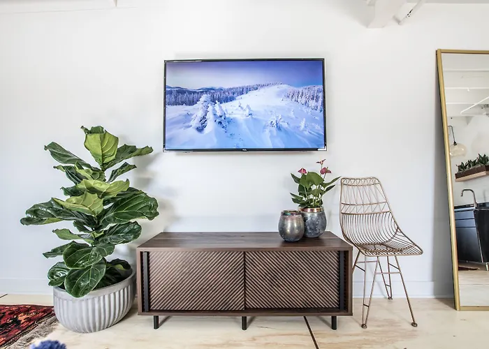 Stellar Suites