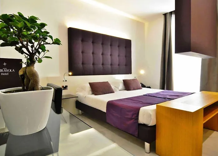 Pet Friendly hotel: Hotel La Bussola