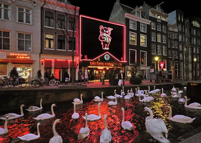 Hotel&bar Royal taste Amsterdam
