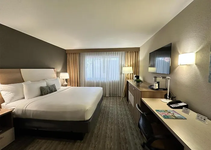 Hotel boutique: Best Western Plus Atlantic Beach Resort