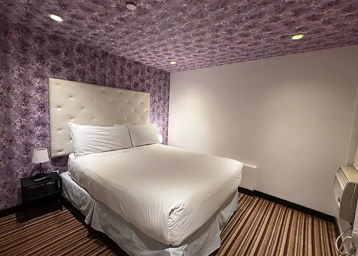 Goedkoop hotel: Night Hotel Broadway