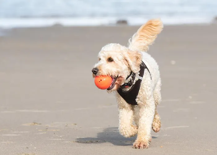 Holiday Inn Express Hilton Head Island By Ihg