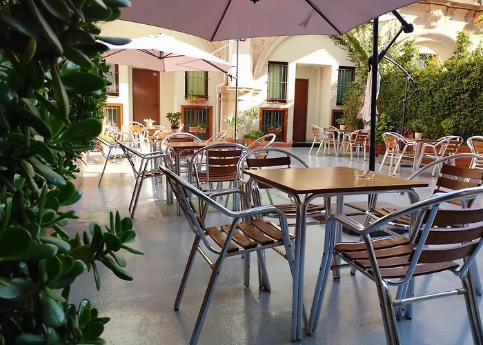 Hôtel accueillant les animaux: La Terrassa