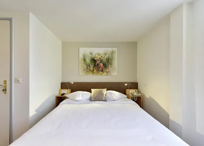 Hotel de 3 estrellas: Hotel Hirschen