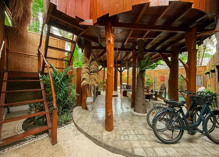 Hotel near College: Gili Treehouse