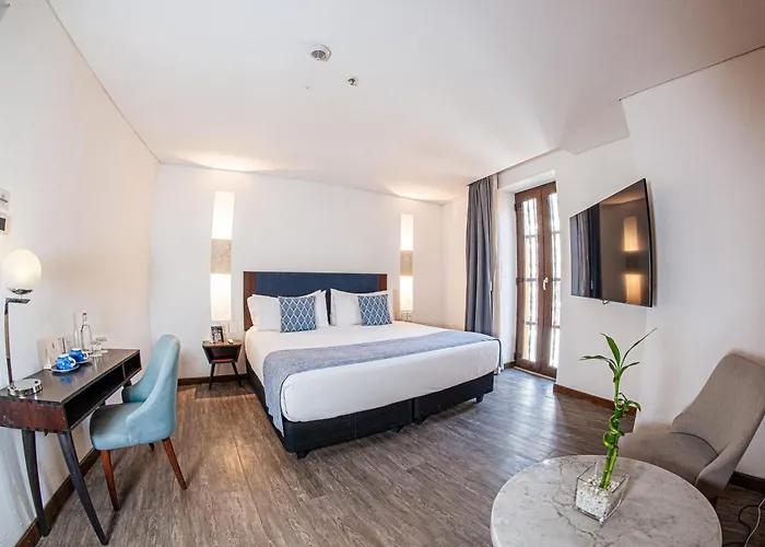 Hotel que admite mascotas: Hotel Santa Catalina By Oxohotel