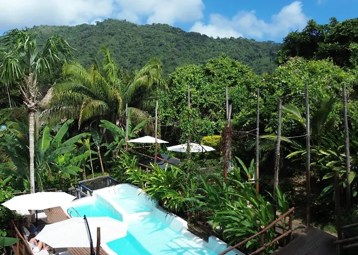 Valley Tayrona - A Social Jungle