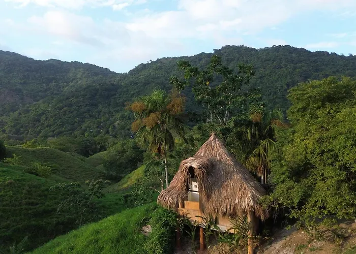 Valley Tayrona - A Social Jungle