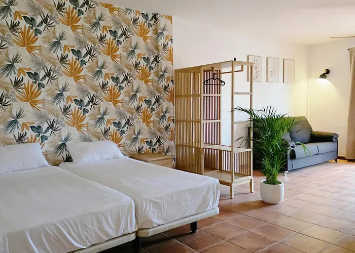 Ecolife Tenerife
