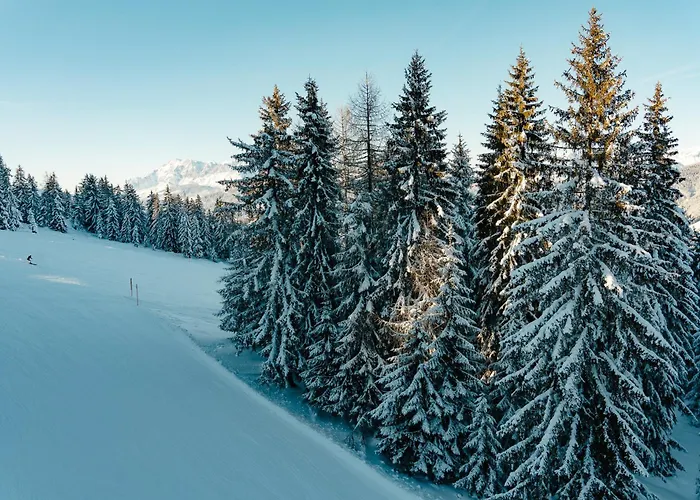  Chalet Auhof