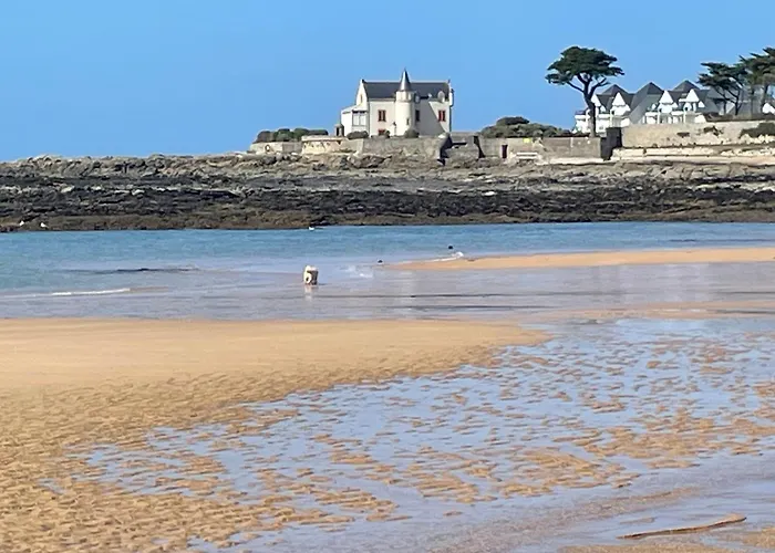 Constance de Bretagne B&B