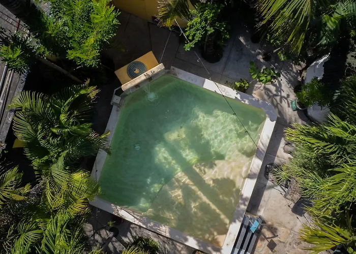 Hotel cerca del colegio: Hostel Oryx Tulum