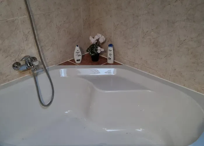 Vakantiehuisje All Exclusive s