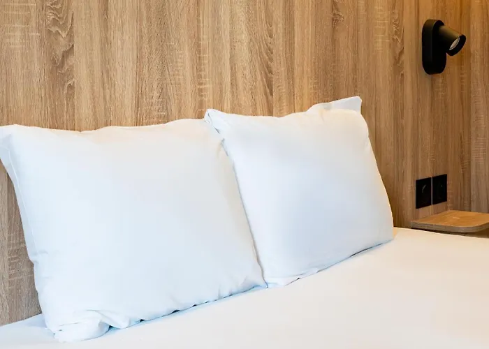 Hôtel accueillant les animaux: Quick Palace Anglet