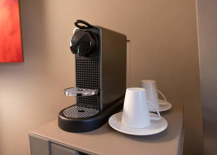 Ibis Geneve Centre Lac