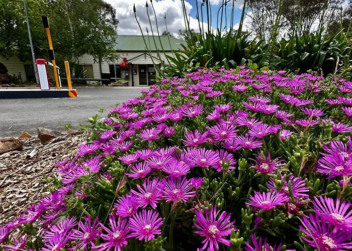 Hotel with Tennis: Eaglehawk Park Canberra
