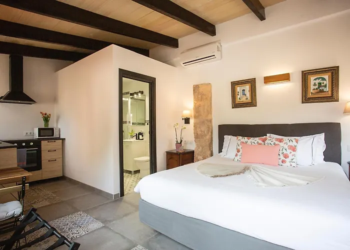 Finca Sa Canova Agroturismo