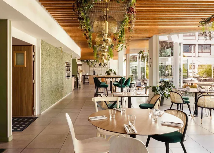 Pet Friendly hotel: Novotel Nancy