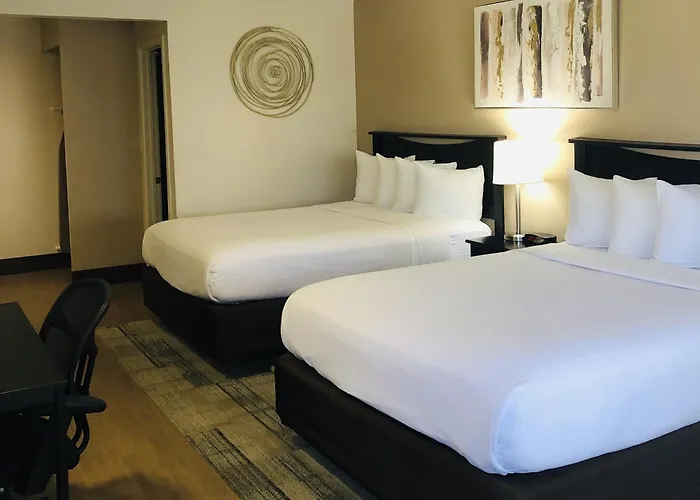 Motel: Stanford Inn & Suites Anaheim