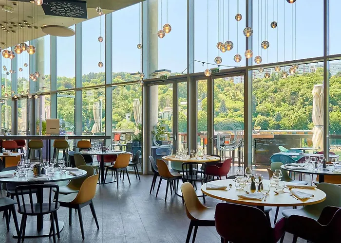 Hôtel accueillant les animaux: Novotel Lyon Confluence