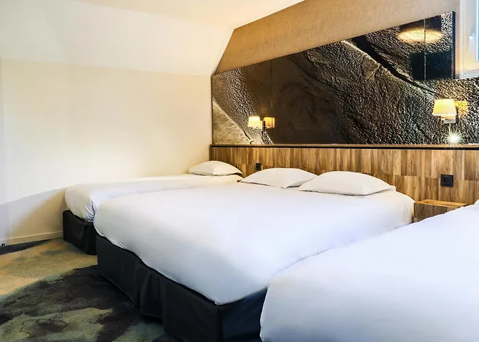 Hôtel accueillant les animaux: Le Saint Aubert