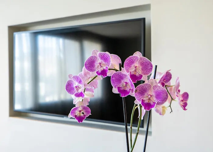 Resort: JM Suites Hotel Eco-Friendly Casablanca