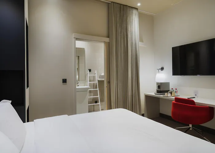 Hôtel accueillant les animaux: Maison Nô - Hôtel et Rooftop