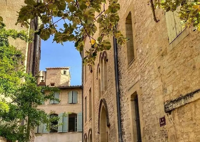 Animaux admis In Situ B&B