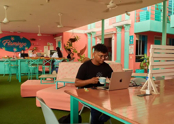 Hotel near College: La Brisa Loca Hostel