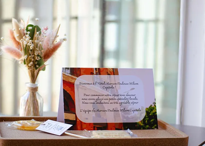 Hotel cerca del aeropuerto: Mercure Toulouse Centre Wilson Capitole