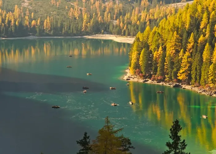 Hotel adatto agli animali: Hotel Rudolf