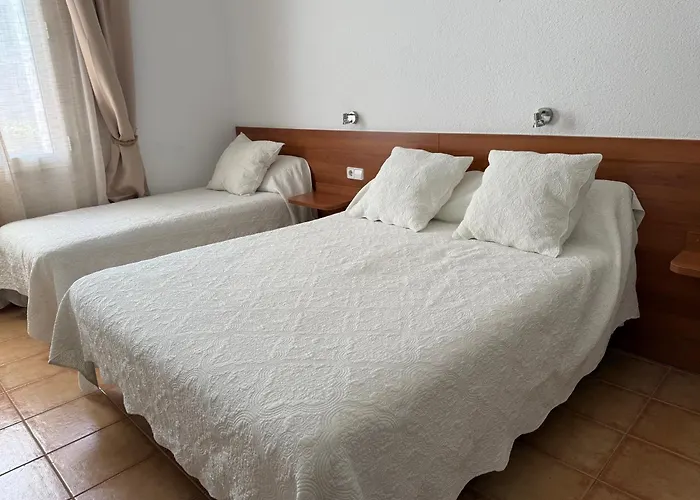 Hôtel accueillant les animaux: Vehi