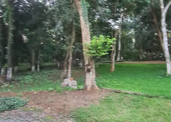 Bosque São Francisco