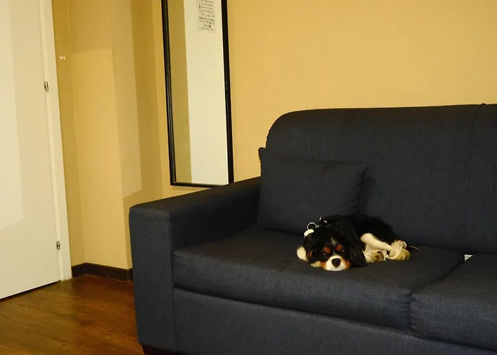 Hotel all'aeroporto: Bergamoincity