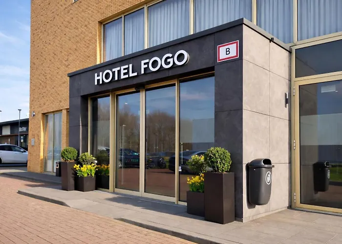 Fogo