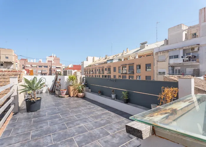 Oasis De