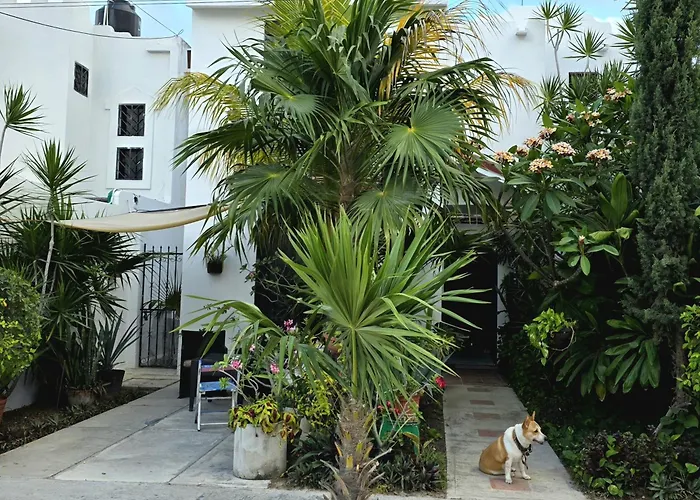 Casa En El Caribe