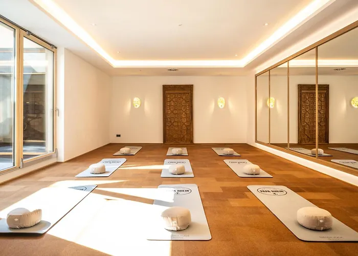 PAPA RHEIN - Hotel&Spa Bingen am Rhein