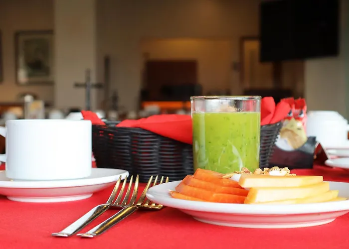 Hotel Fortin Plaza