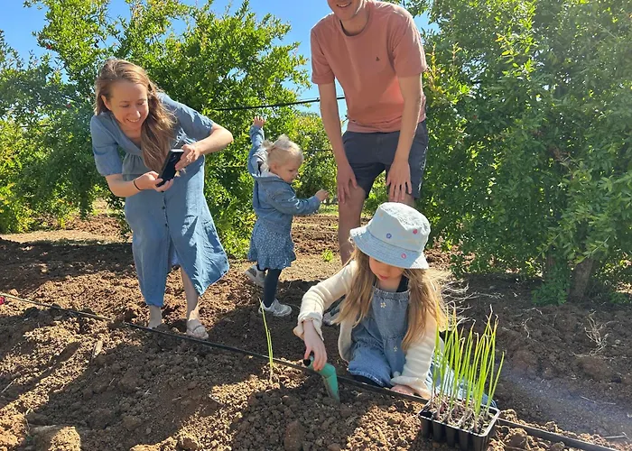 Azienda Agrituristica Il Pago