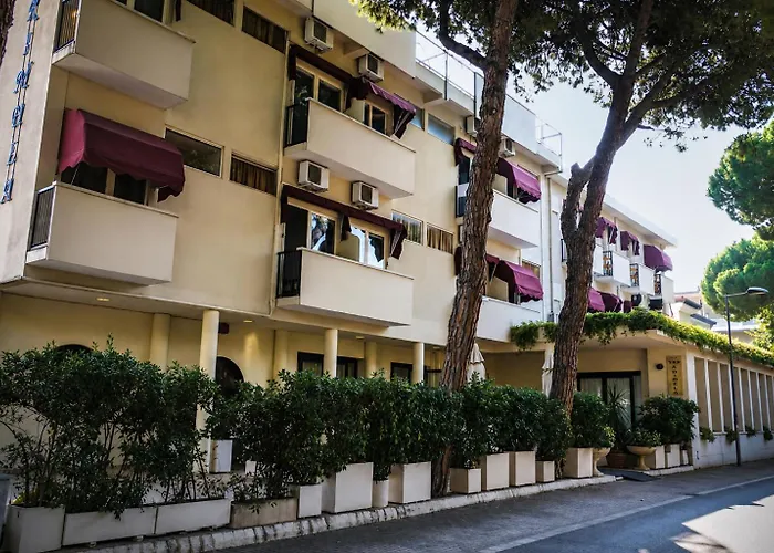 Albergo economico: Hotel New Primula