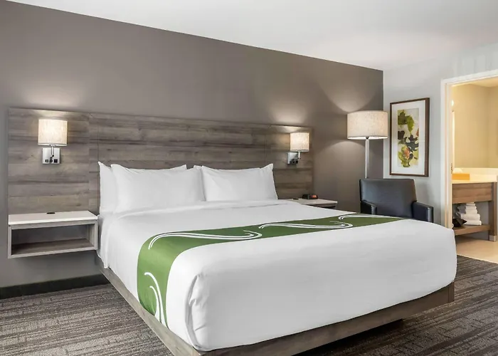 Cheap hotels Quality Inn & Suites Amsterdam