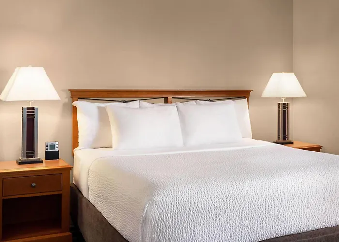Pets Allowed Hotel Royal West Edmonton, Trademark Collection By Wyndham