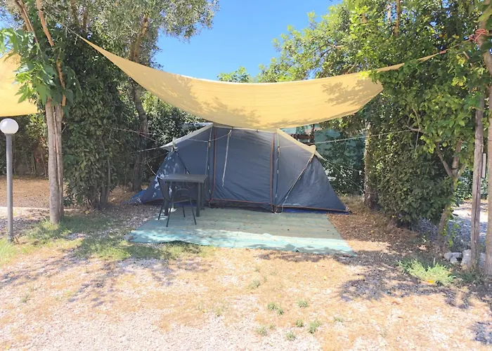 La Volpe Di