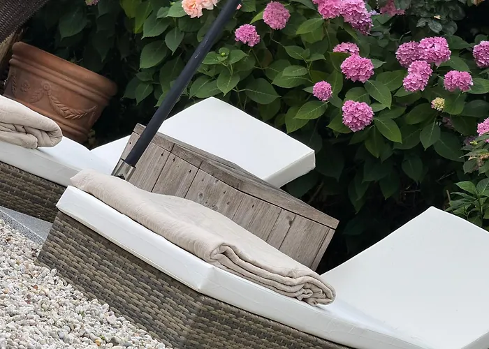 Cozy Boutique B&B De Roos&Garden Lounge
